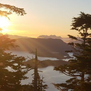 Meet your Posher, KJ